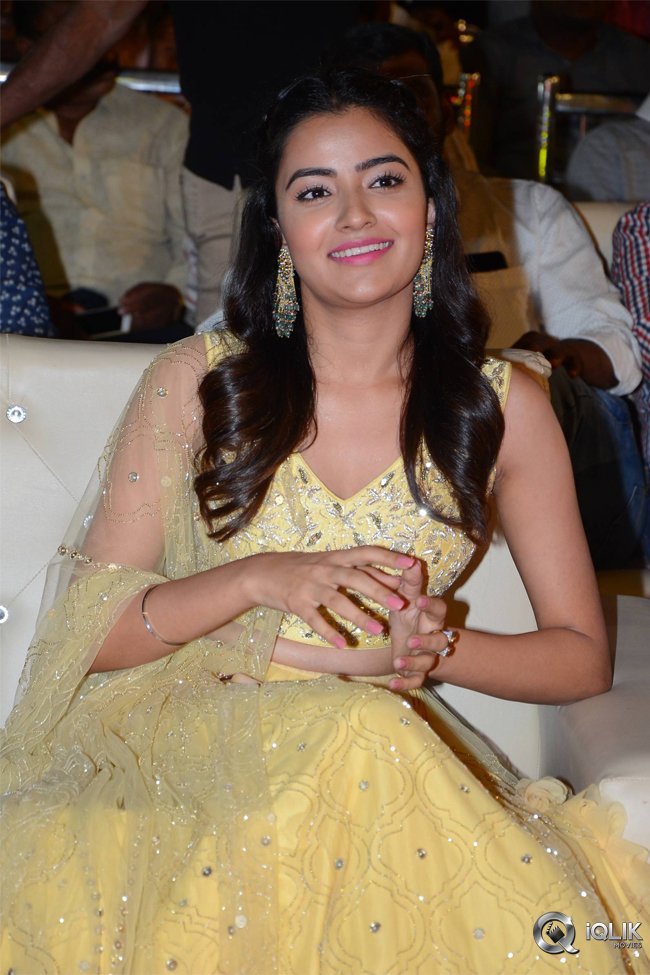 Krishnarjuna-Yuddham-Pre-Release-Function